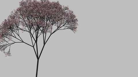 Processing Tree Generation (test)