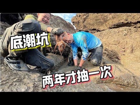 【完整版上集】蔡英文：不排除中方侵台可能性 維持台海現狀騙了8年？ TVBS戰情室 20240519