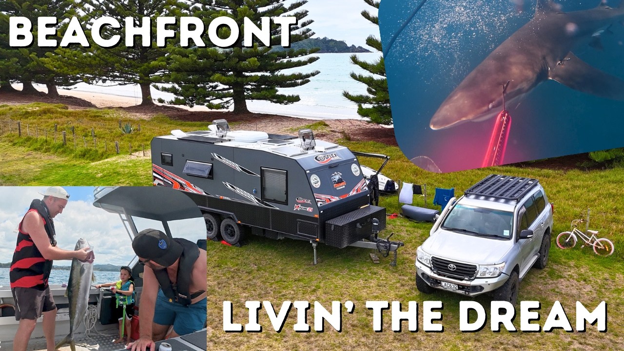 Fighting Sharks to Feed Strangers - Van Life at the Beach