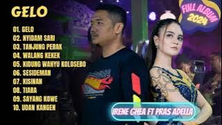 GELO - NYIDAM SARI || IRENE GHEA FT PRAS ADELLA || DANGDUT TANPA IKLAN