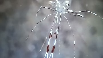 سورة الفاتحة صوت جميل جدا 🌺راحة نفسية لا توصف