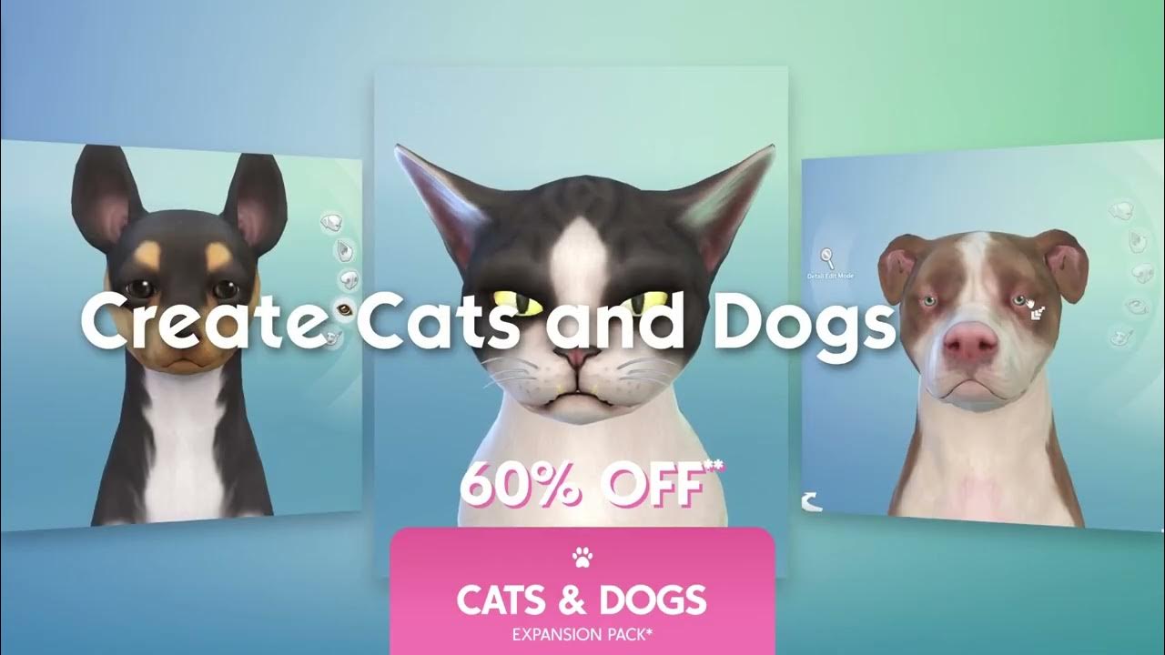798feb24-28425-TUR_TS4_Cats&Dogs_Paid_PBM_Sales_1080p_16x9_29.97fps_15s_ENG_US_01 - 7