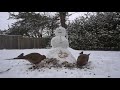 Snowmen Present 3: A 10 Hour film For Cats To watch | Relaxing Videos For Pets!! - December 29, 2020