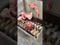 Shredder vs Human Bones - Who Will Won #shredding #shredded #papershredder #shredder #automobile