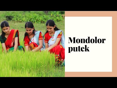 Mondolor putek  Cover Dance  Assamese song by Poli Saikia