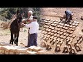 Les adobes construction traditionnelle dune cabane avec terre paille et eau  film documentaire