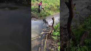 Beaver Dam Collapse#2 #shorts #dam #damburst #satisfying
