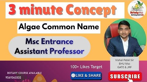 3 Minute Concept | Alage Common Name | Msc Entrance & Assistant Professor