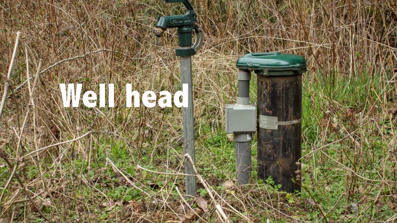 2404 Mosquito Lk Rd, Deming WA