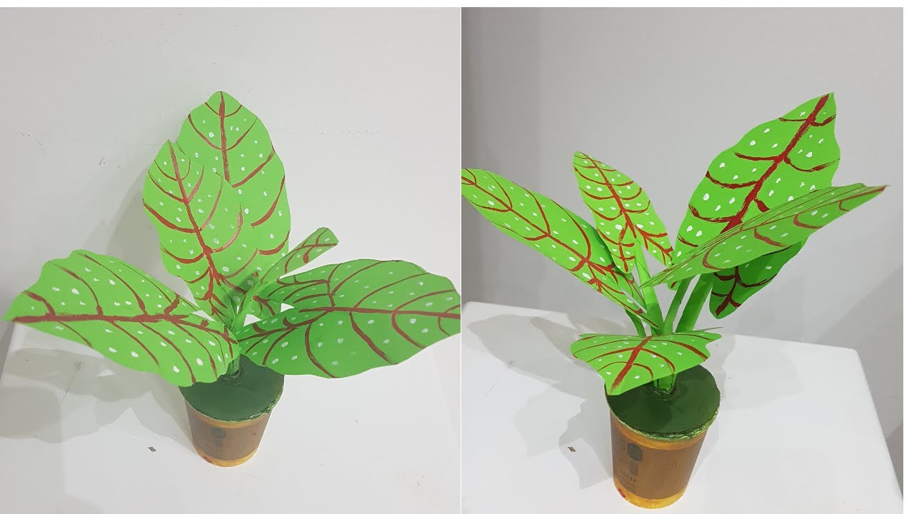 SIMPLE PAPER PLANTS YouTube SIMPLE PAPER PLANTS YouTube