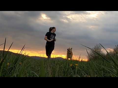 Charles Simbolon & Juli Manurung - Aut Boi Marhanjungan