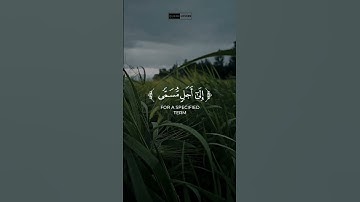 ذلك ومن يعظم شعائر الله - القرآن الكريم بصوت ماهر المعيقلي سورة الحج #quran