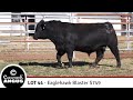 Lot 44   eaglehawk blaster s749