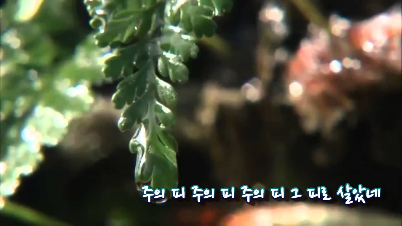 각이 뜨인 사랑