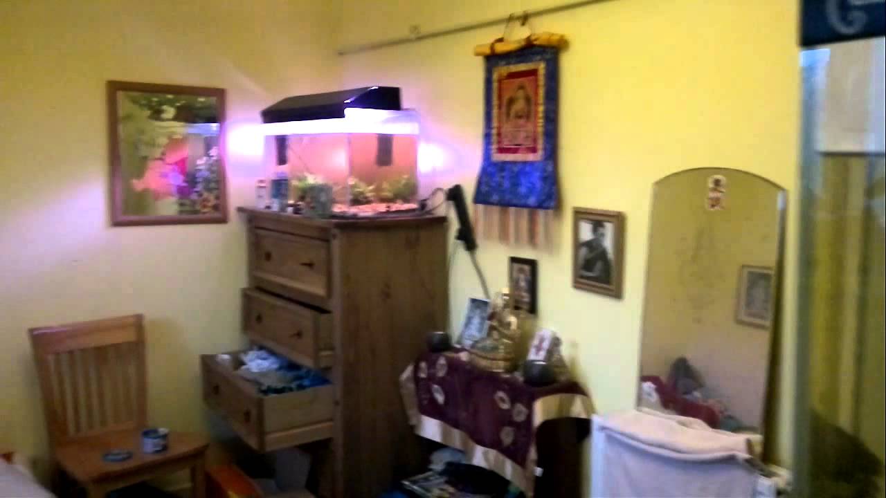 Me handling a big spider !