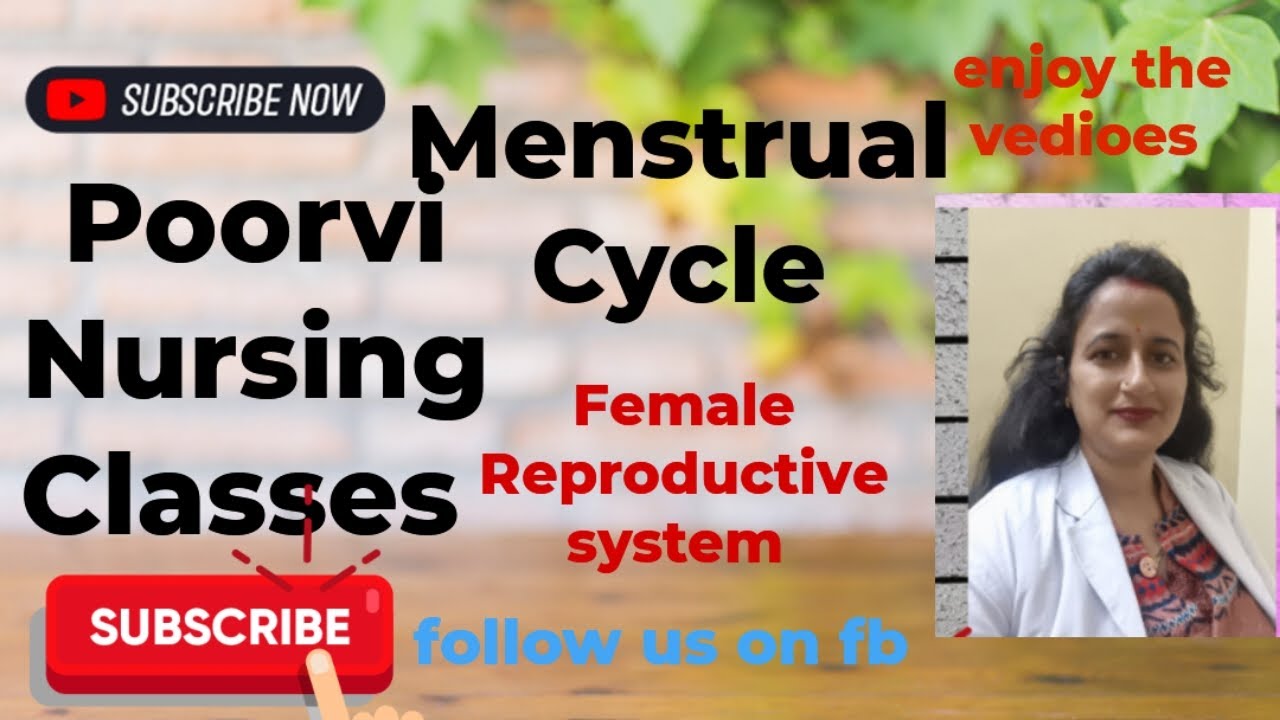 Menstrual Cycle || female Reproductive system|| top youtube channel 