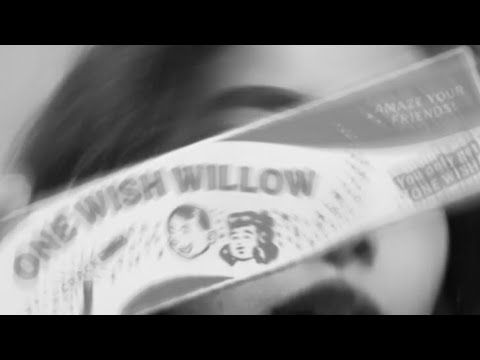 dare you to open this one wish willow subliminal results after opening