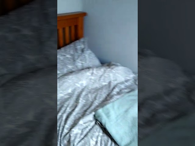 Video 1: Front of Property