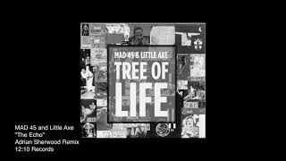 MAD 45 and Little Axe - The Echo - (Adrian Sherwood Remix)