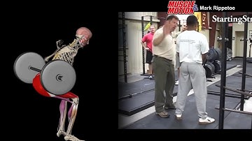 Muscle&Motion and Mark Rippetoe - How to Low Bar Squat