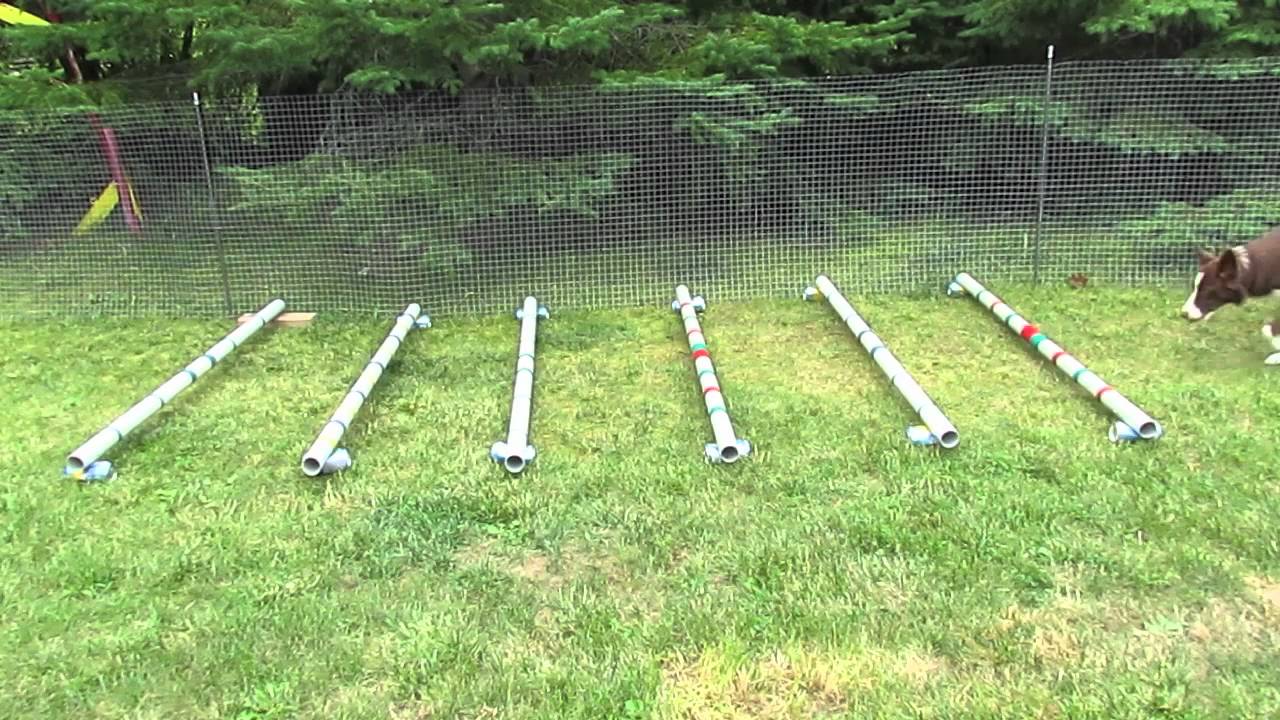 Bliss K9 Fitness Cavaletti Work Aug 7 2012 - YouTube Bliss K9 Fitness Cavaletti Work Aug 7 2012 - YouTube