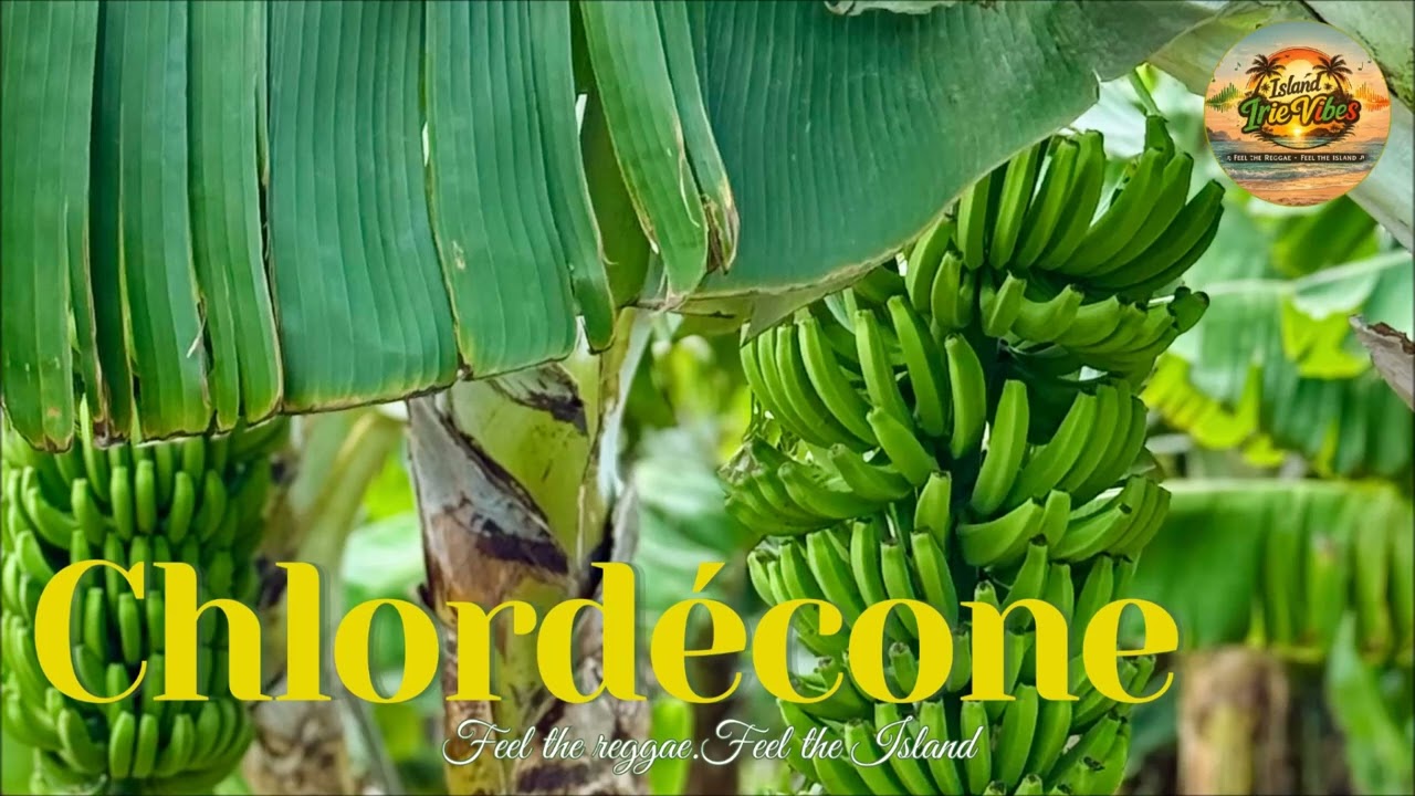 [ Chlordécone ] – Island Irie Vibes