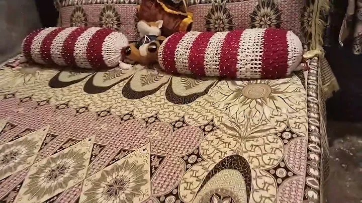 Live Stream Full Hard Work Video