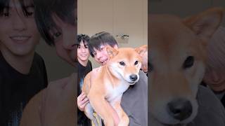 진정들하시개 🐕 #TXT #SOOBIN #TAEHYUN #HUENINGKAI