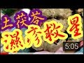 土茯苓🥔去濕毒🌋濕疹救星👈👍 解毒冇有怕👋 紅疹🔴 濕疹♦ bb疹🏵 梅花疹🍁 有預防作用👈👍 Tuckahoe 除濕，通利關節之功效👍筋骨疼痛；濕熱淋濁，帶下，癰腫，瘰癧，疥癬