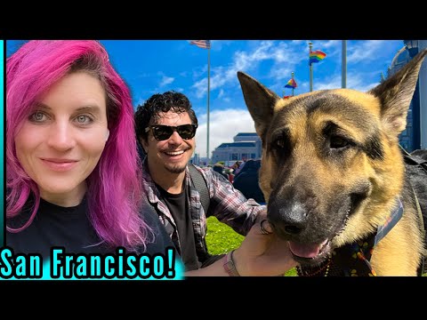 Omg New Pup! Dis Steve!