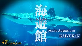 【海遊館】Osaka Aquarium KAIYUKAN