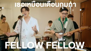 fellow fellow - เธอเหมือนเดือนกุมภา [LIVE SESSION]