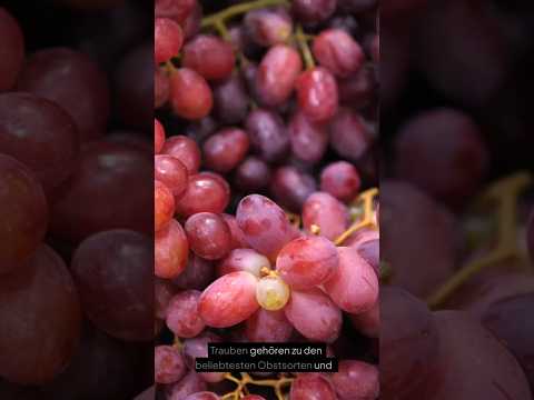 Trauben und Gesundheit 🍇 Warum dieses Obst so gesund ist