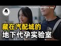 藏在汽配城的地下代孕实验室 