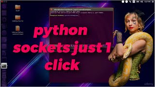 2. Introduction to python sockets || How Python Sockets Will Change Your Coding Life Forever! 👌❤️👍