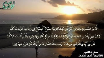 تلاوة من سورة النور || القارئ أمين الامين || تلاوة خاشعة 🌘😴