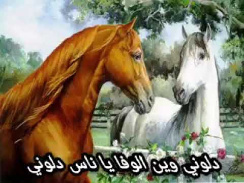 دلوني وين الوفا يا ناس بهالزمان