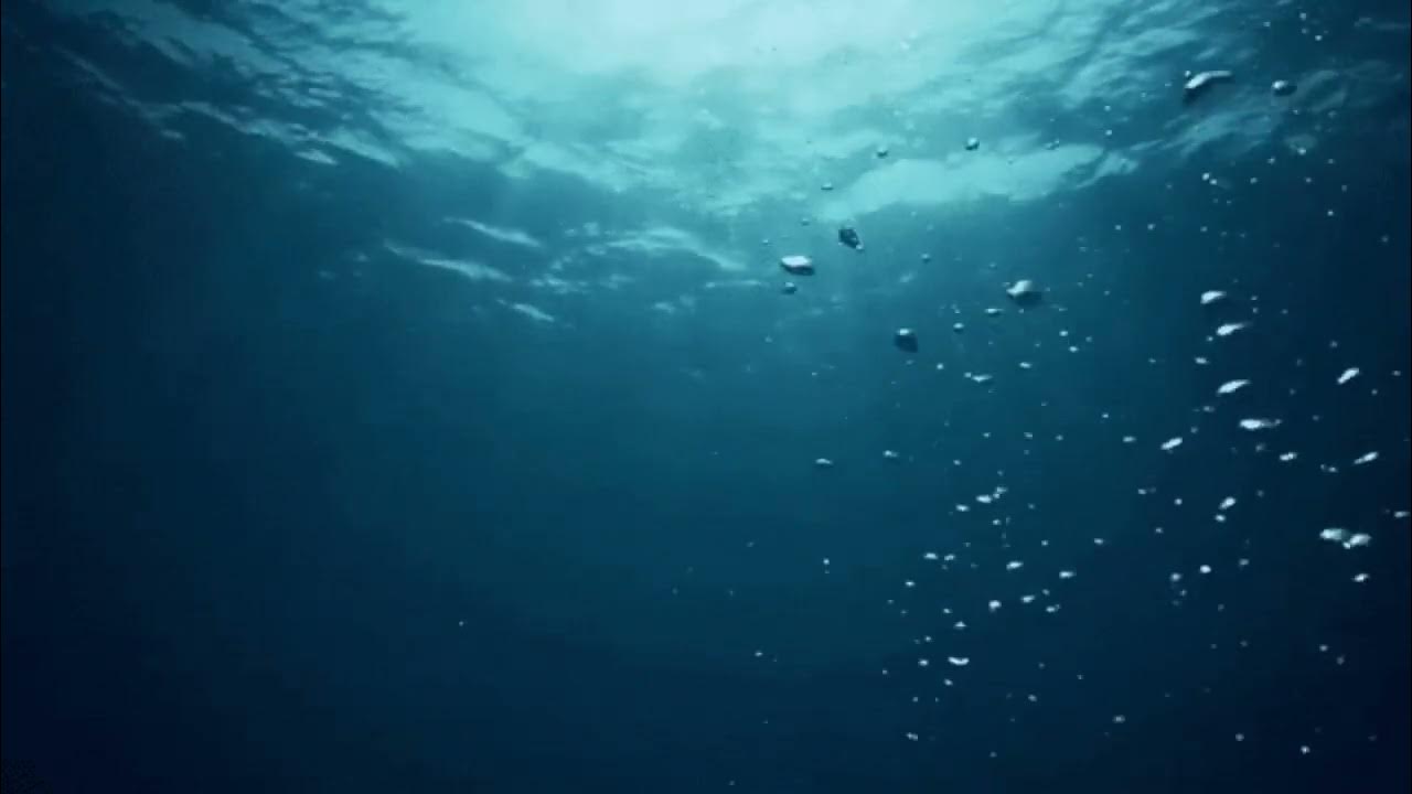 Океан под водой. Море под водой. Океан под водой с рыбами. Океанские глубины. Море под водой.