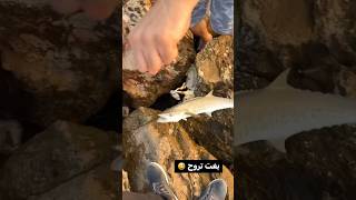 عبود يوده    سمعها