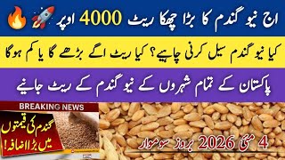 New Gandam rates Today| Today wheat price in Pakistan| نیو گندم کا ریٹ | AJ ka new Gandam ka rate