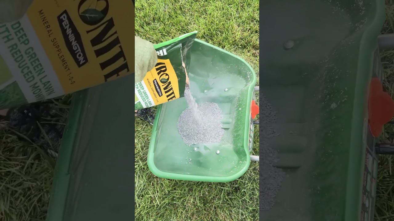 Хотите темно-зеленый газон?