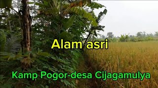 Hiling pagi dialam sejuk dan asri kampung Pogor @barengbabehbae3668