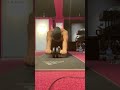 筋肉の鍛え方-1ヶ月でどれだけ鍛えれる？