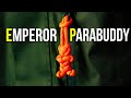 How To Make An Emperor Parabuddy Paracord Zipper Pull Lanyard Tutorial