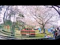 ランボとフェラーリでお花見したら大注目でヤバかったｗｗ