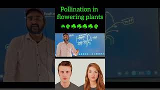 #biology pollination in flowering plant ☘️☘️☘️ by Rohit sir