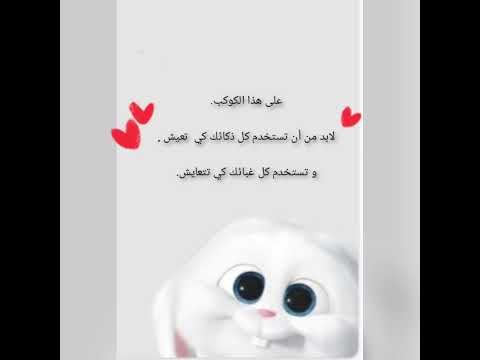 أكتب اسم حيوان بحرف القاف