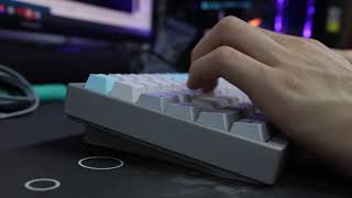LZ-CP