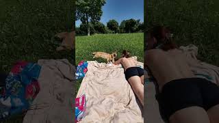 Вот и позагорали 😎🥵
