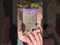 #shorts #fypシ゚ #tarot #lifeoracle #tarotreading #cardoftheday #tarotreader #lifepurpose